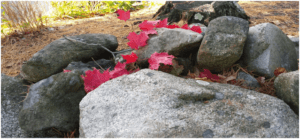 Register NOW for October Retreat! @ Espousal Retreat House and Conference Center | Waltham | Massachusetts | United States